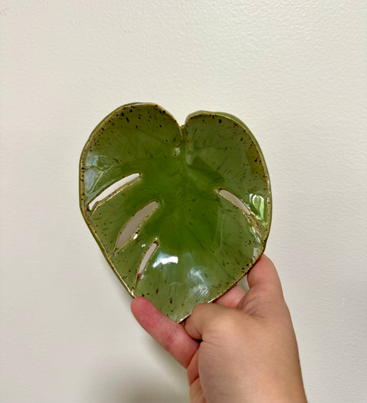 Monstera leaf dish